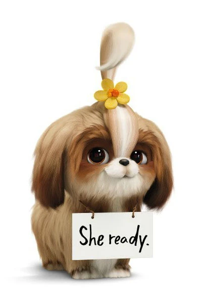 Daisy The Secret Life Of Pets Gallery Heroes Wiki Fandom