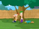 So, Ferb, what should we do tommorow