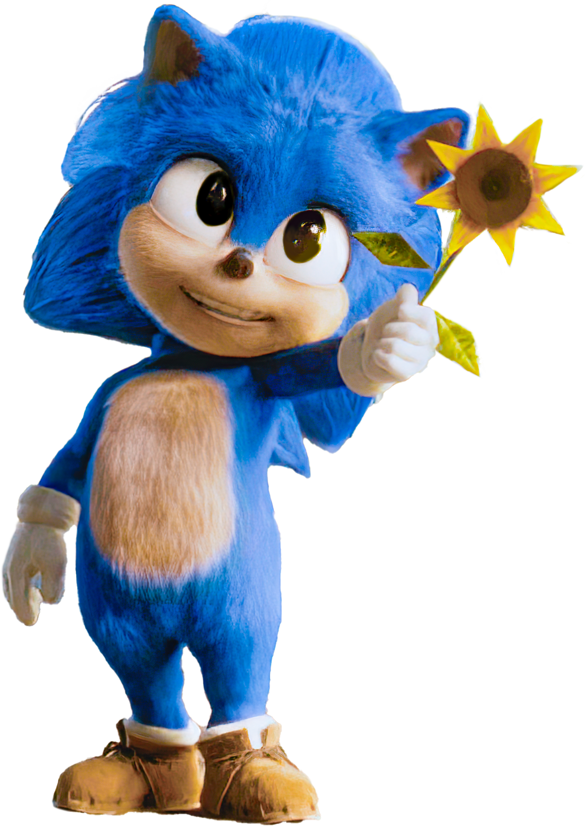 How are they gonna incorporate Shadow being mistaken for Sonic in the 3rd  movie? : r/SonicTheMovie