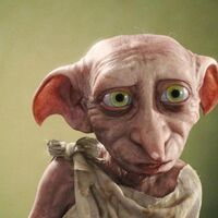 Dobby Heroes Wiki Fandom