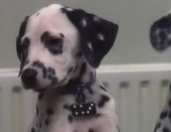 101 dalmatians domino outlet
