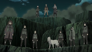 Team 7, Team 8, and Team 10 preparing to face of the Ten-Tails.