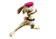 Fluffy hop 2011