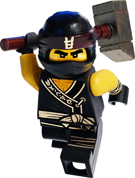 Ninja cole shop