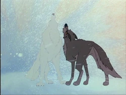 balto e aniu