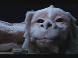 Falkor