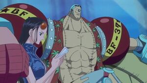 Franky and Robin Post-Timeskip