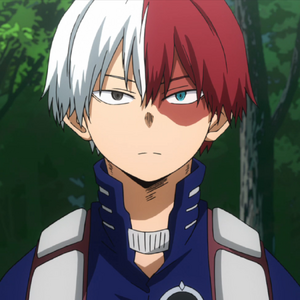 Shoto Todoroki hero license exam arc