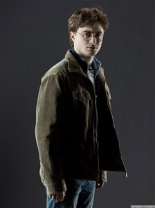 Harry Potter is an Orphan; having lost both his parents as an infant to Lord Voldemort.