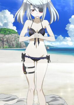 Laura Bodewig, Infinite Stratos Wiki, Fandom