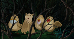 Stellaluna | Heroes Wiki | Fandom