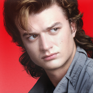 Steve-Harrington-1984 Profile