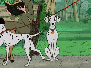 Perdita taking an interest in a male Dalmatian dog named Pongo.