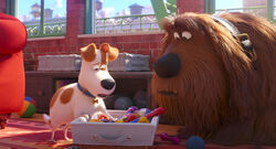 Secretlifeofpets2-animationscreencaps.com-1168