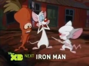 Pinky and the Brain on Disney XD