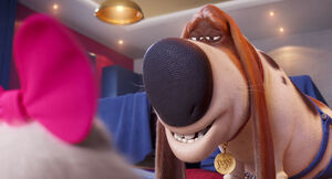 Secretlifeofpets2-animationscreencaps.com-4938