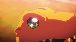 Agumon look at Tai