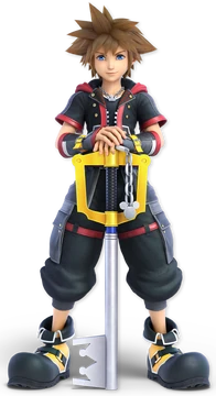 Sora | Heroes Wiki | Fandom