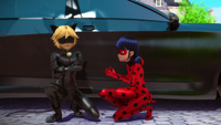 Animan - Cat Noir and Ladybug 42