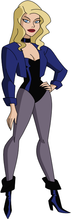 Black Canary Dc Animated Universe Heroes Wiki Fandom 0911