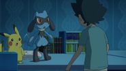 Riolu, Pikachu and Ash meet after Riolu hatched from the egg.