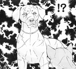 🔥 Ginga Densetsu Weed: Orion MBTI Personality Type - Anime & Manga