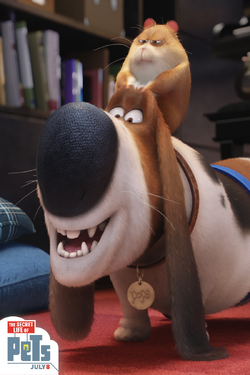 Secret life of pets pops toy sales