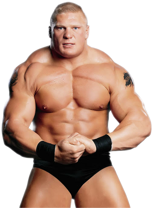 Wwe brock lesnar deals