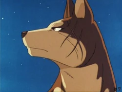 ginga nagareboshi gin riki