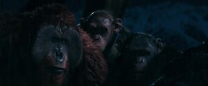 War For The Planet Of The Apes 2017 Screenshot 2841