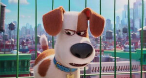 Secret-life-pets-disneyscreencaps.com-1679