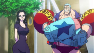 One Piece Film Stampede Robin & Franky