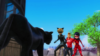Animan - Cat Noir, Kim and Ladybug