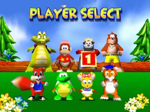 DKR PlayerSelect.png (802 KB)