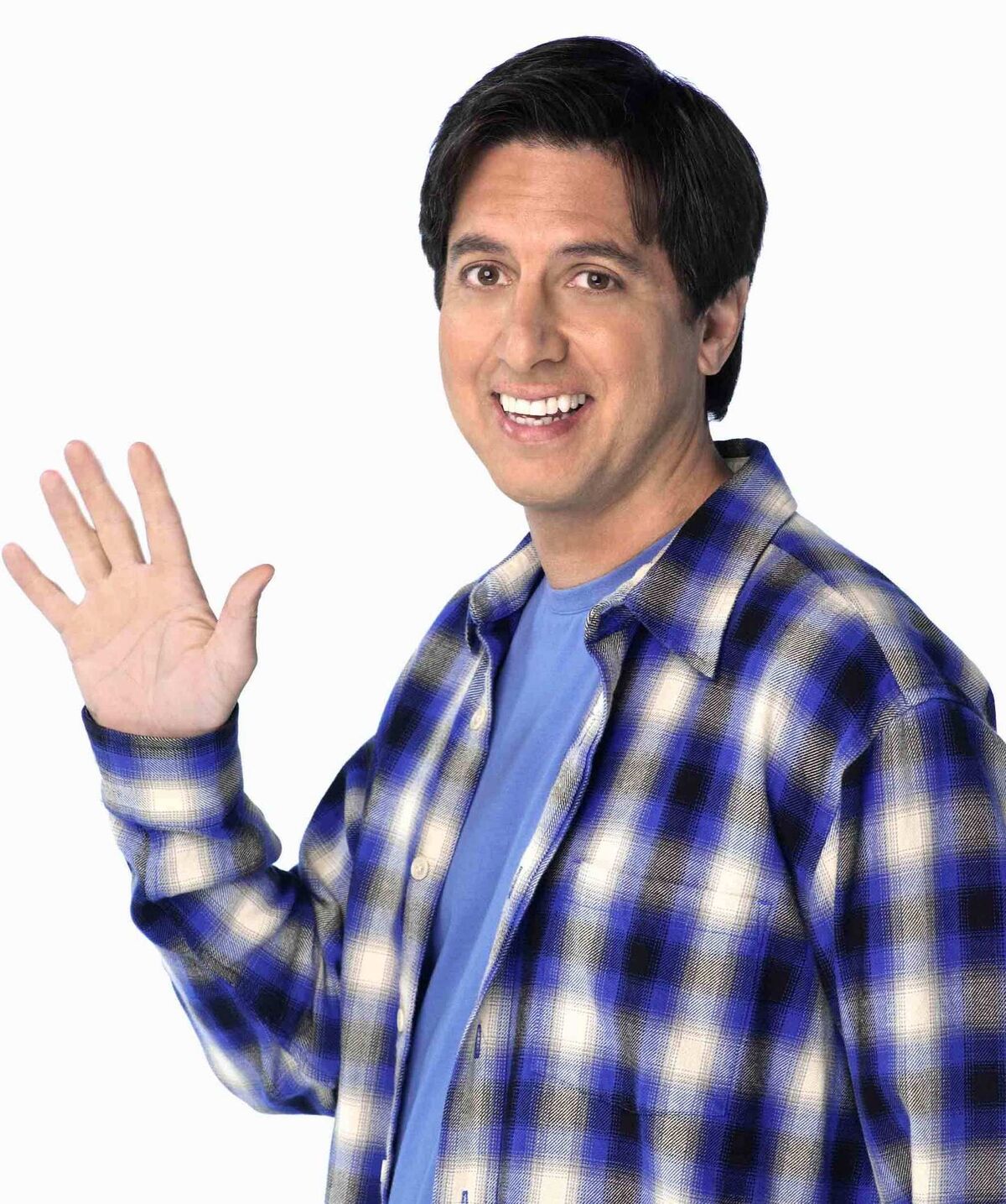 Ray Barone Heroes Wiki Fandom