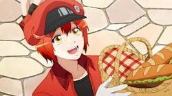 ⎆┊AE3803 Red Blood Cell ⎙  Anime, Anime icons, Anime characters