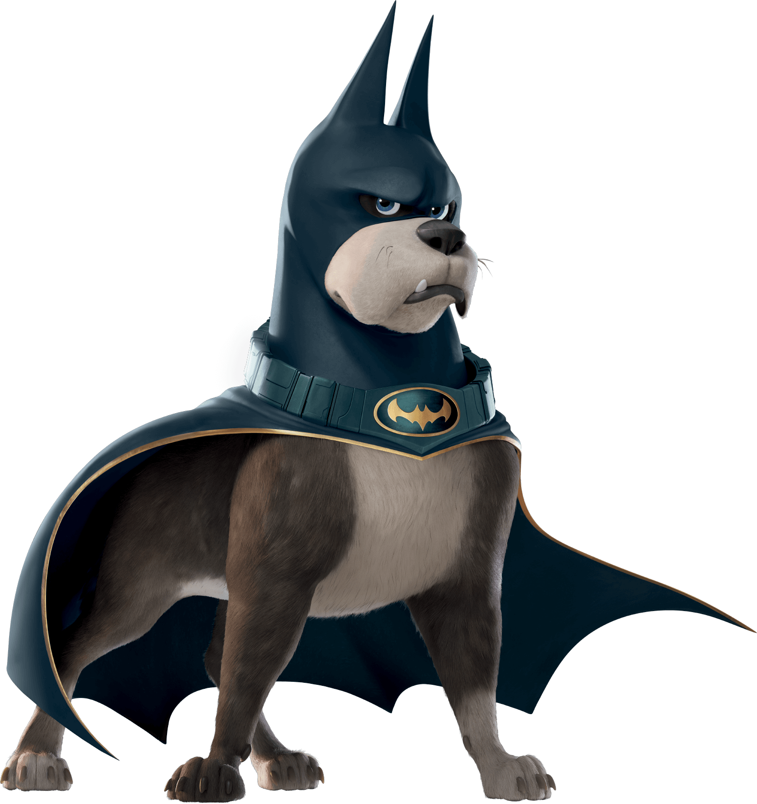 Ace (DC League of Super-Pets) Heroes Wiki |