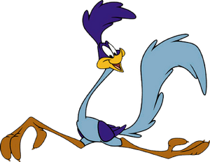 Road Runner (Looney a Tunes franchise)