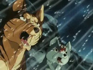 ginga nagareboshi gin riki