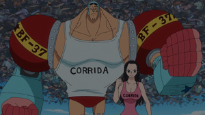 Dressrosa Arc EP744 Franky and Robin