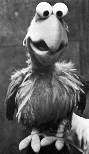 Poco Loco | Heroes Wiki | Fandom