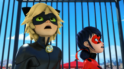 Mr. Pigeon - Cat Noir and Ladybug 02