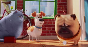 Secret-life-pets-disneyscreencaps.com-873