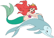 Ariel-dolphin