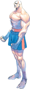 Street Fighter - Sagat as he appears in Street Fighter 2 Turbo