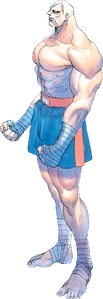 Sagat as he appears in Street Fighter 2 Turbo.