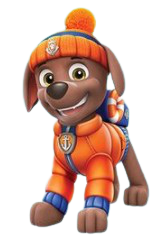 Paw patrol zuma sea patrol hotsell