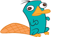 Perry