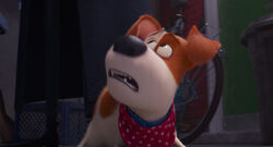 Secretlifeofpets2-animationscreencaps.com-7671