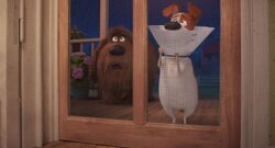 Secretlifeofpets2-animationscreencaps.com-3592